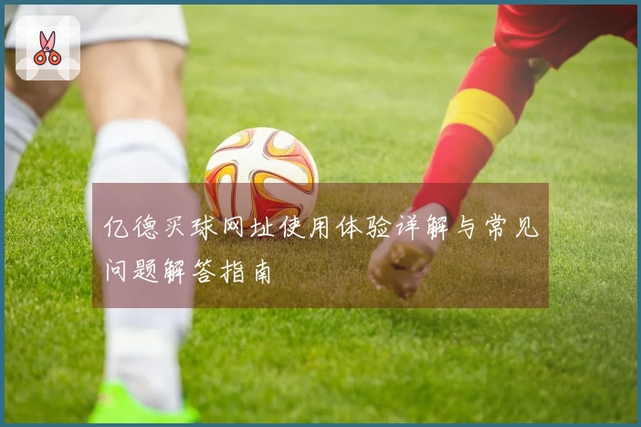亿德买球网址使用体验详解与常见问题解答指南