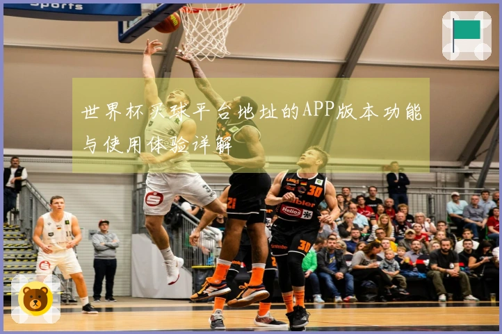 世界杯买球平台地址的APP版本功能与使用体验详解