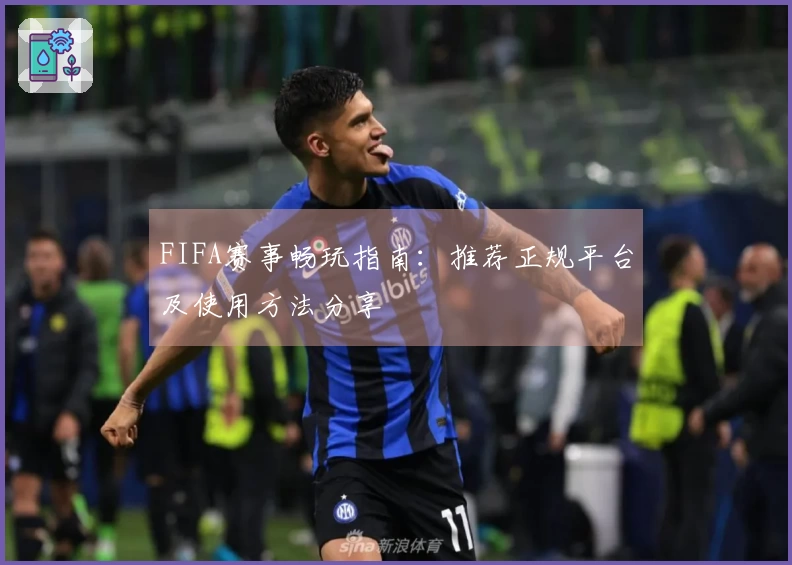 FIFA赛事畅玩指南：推荐正规平台及使用方法分享