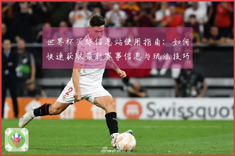 世界杯买球信息站使用指南：如何快速获取最新赛事信息与玩法技巧