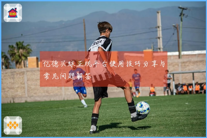 亿德买球正规平台使用技巧分享与常见问题解答
