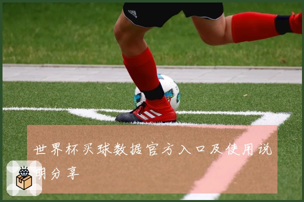世界杯买球数据官方入口及使用说明分享