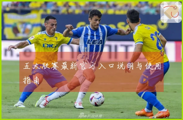 五大联赛最新官方入口说明与使用指南