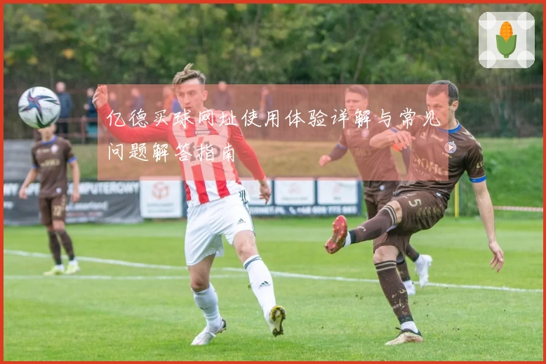 亿德买球网址使用体验详解与常见问题解答指南