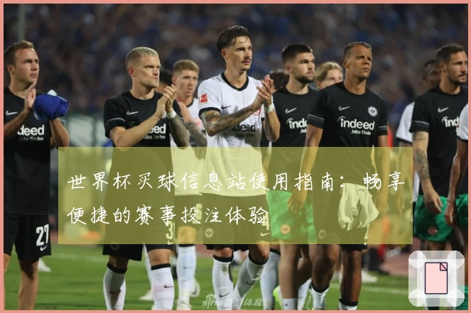 世界杯买球信息站使用指南：畅享便捷的赛事投注体验