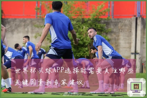 世界杯买球APP选择时需要关注哪些关键因素和专家建议